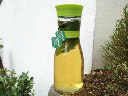 infusedwaters.com