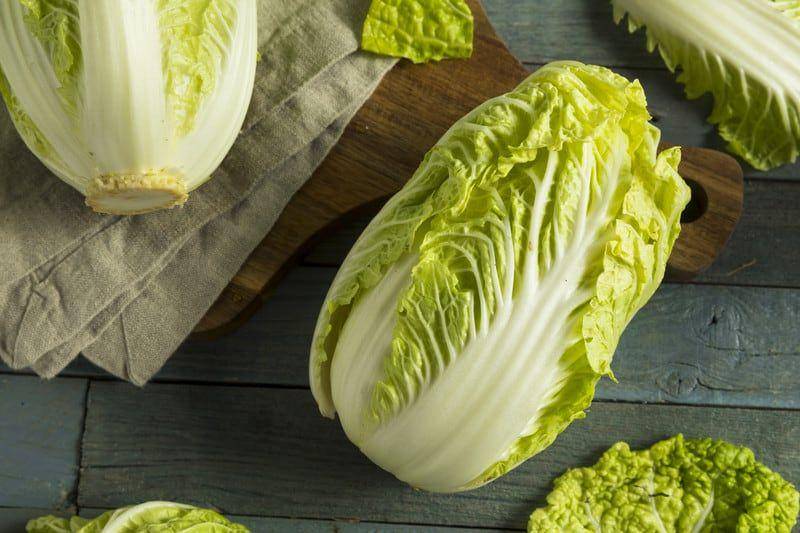 nutritionyoucanuse.com