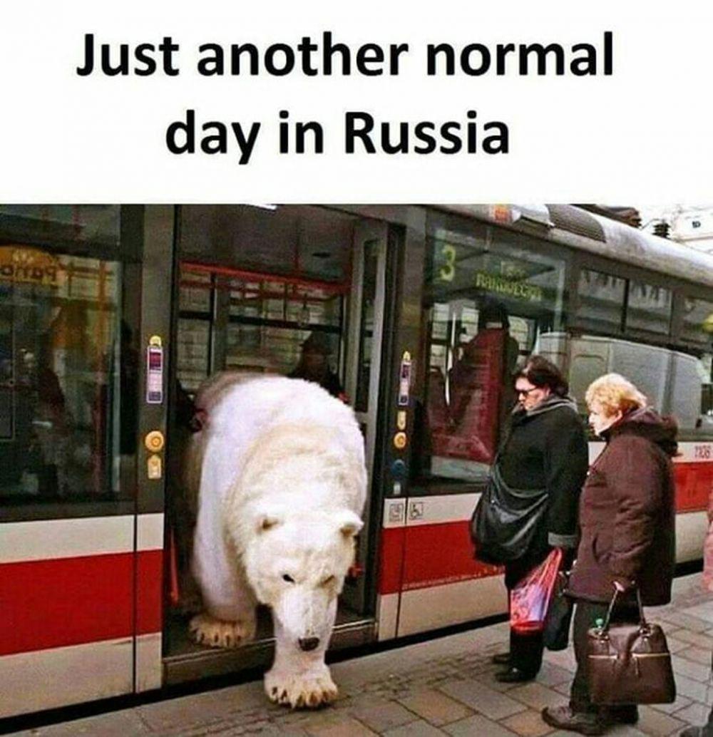 10 Meme Lucu 'Normal di Rusia' Ini Bikin Cengar-cengir Sendiri