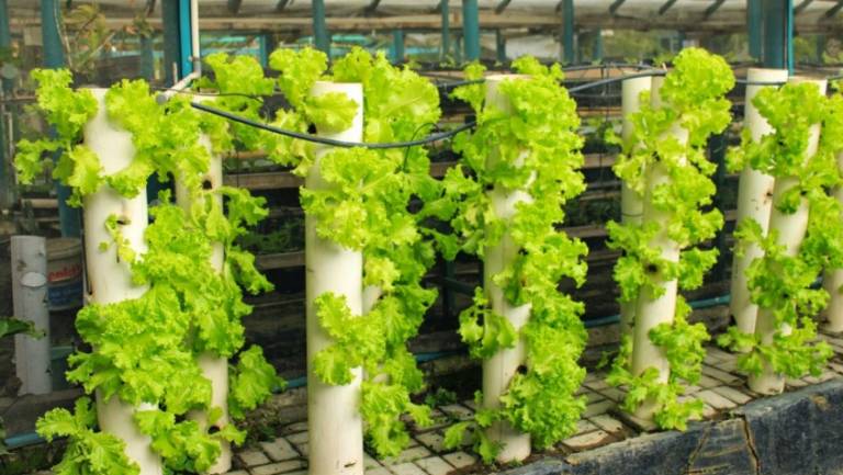 agroteknologi.id