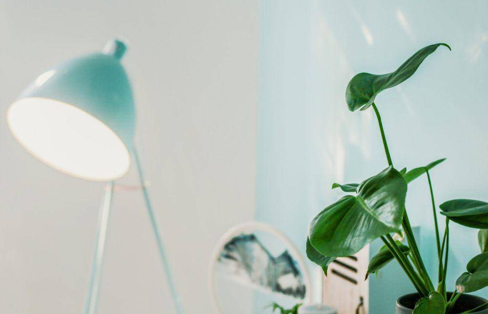 Pexels.com/TomSwinnen