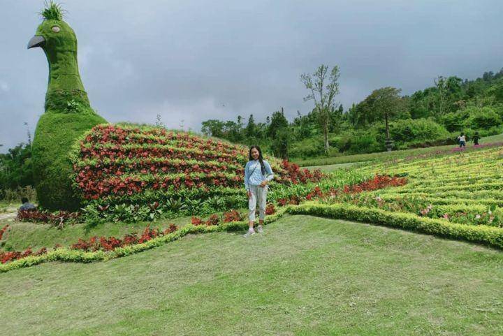 instagram.com/nandayuu12