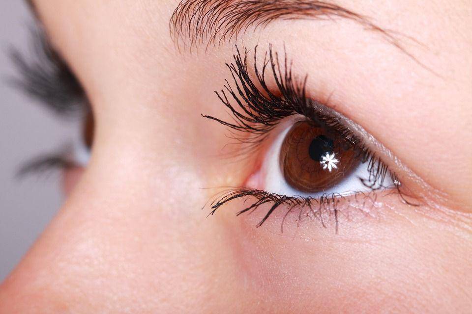 Pixabay.com/PublicDomainPictures