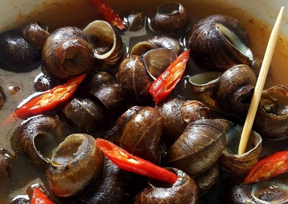 5 Hama Ini Ternyata Bisa Diolah Menjadi Makanan yang Enak Lho