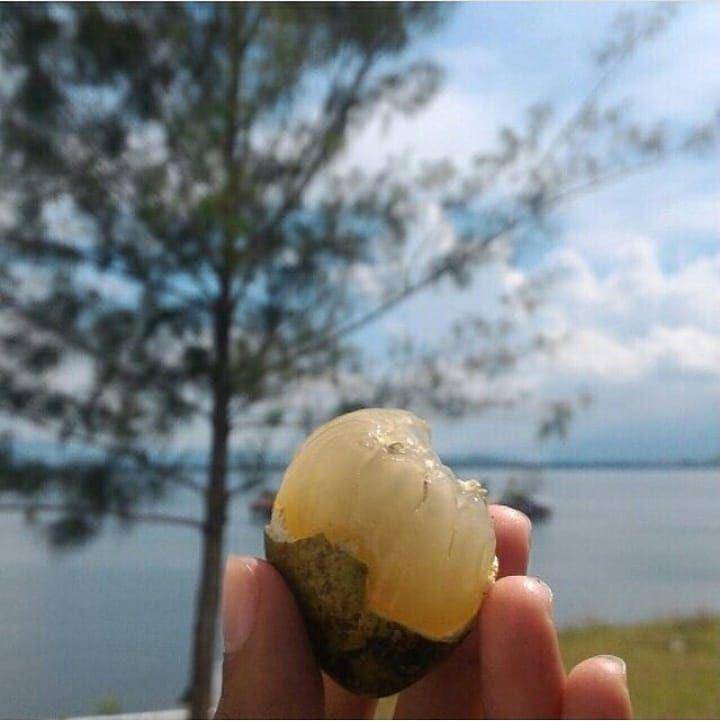 www.instagram.com/beta.makan.terus