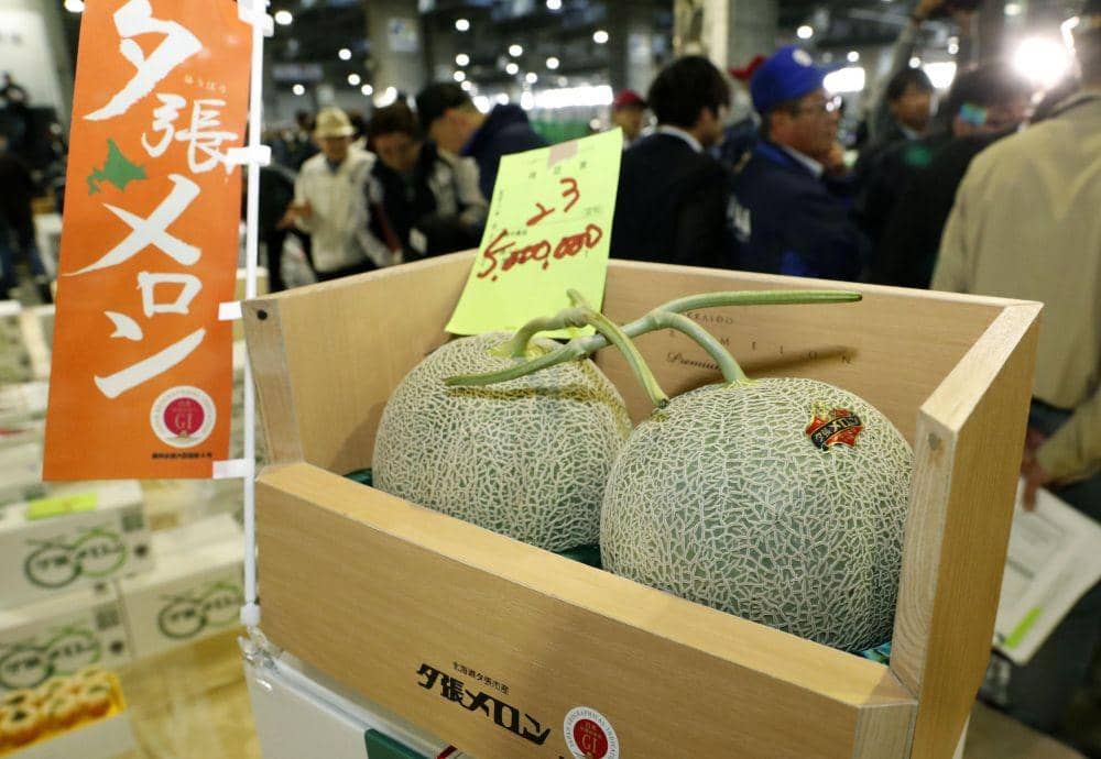 Melon di Jepang Ini Harganya Mencapai Rp656 Juta, Tertarik Membelinya?