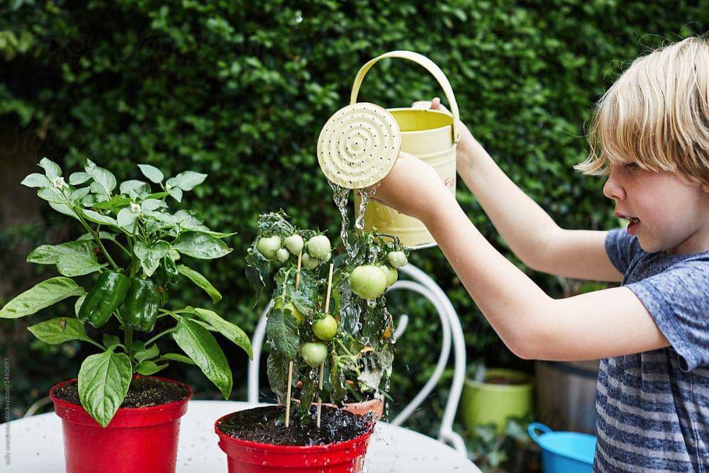 Stocksy.com/Sallyanscombe