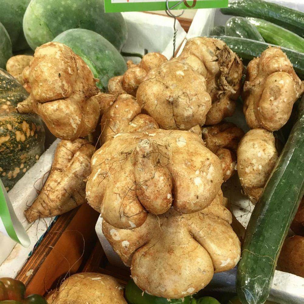 www.instagram.com/masak2dengannick