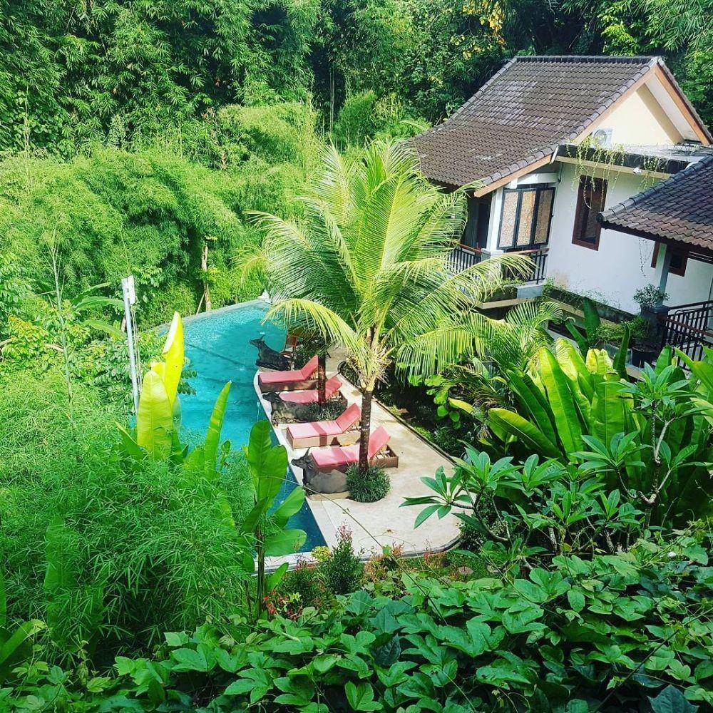 instagram.com/cclltmlteam