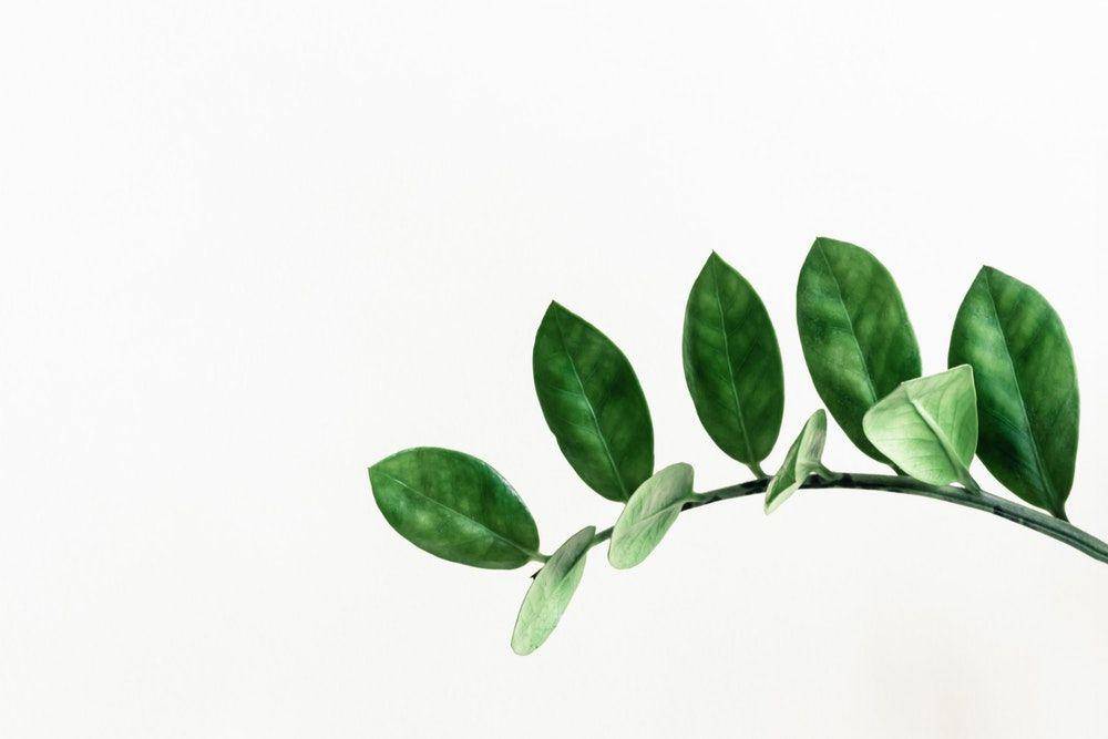 unsplash.com/ Paweł Czerwiński