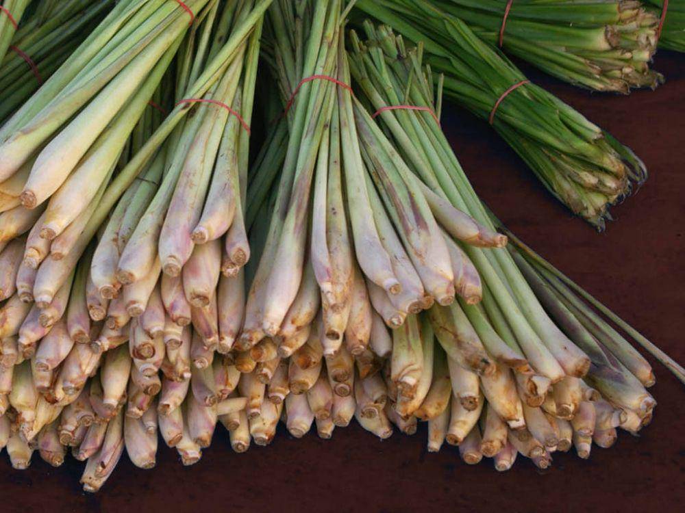 filipinochow.com