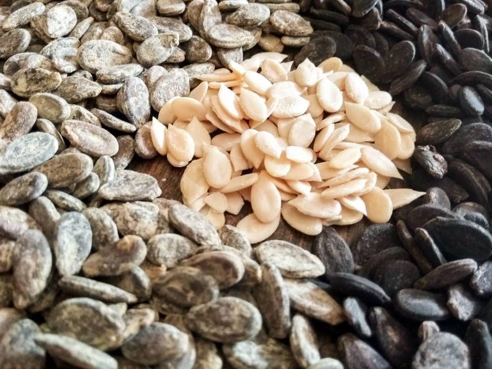 5 Manfaat Kuaci Biji Semangka untuk Kesehatan Tubuh