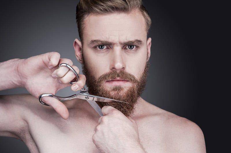 primandprep.com