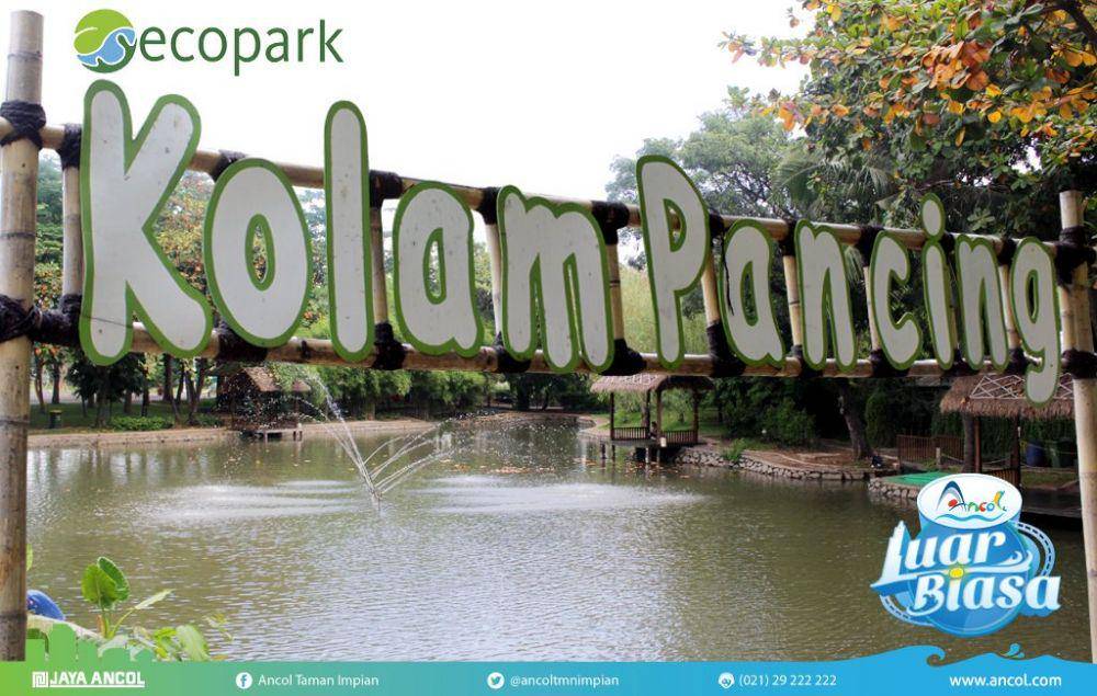Twitter @ancoltmnimpian