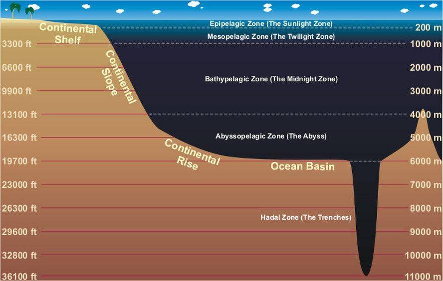 deepoceanproject.weebly.com