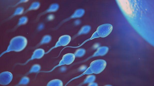 7 Hal Ini Terbukti Dapat Menurunkan Kualitas Sperma, Segera Hindari ya