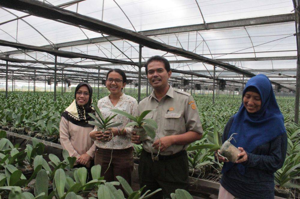 IDN Times/Kementan