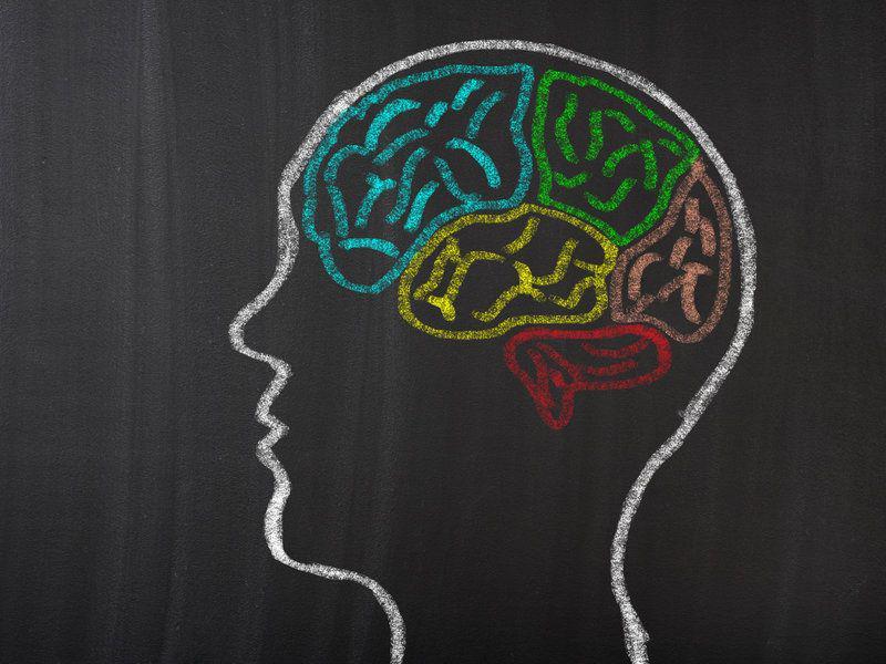 6 Fakta Otak Manusia yang Mungkin Tak Pernah Terpikirkan