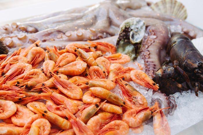4 manfaat mengonsumsi udang bagi kesehatan tubuhmu