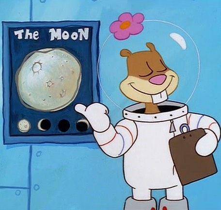 instagram.com/spongebob