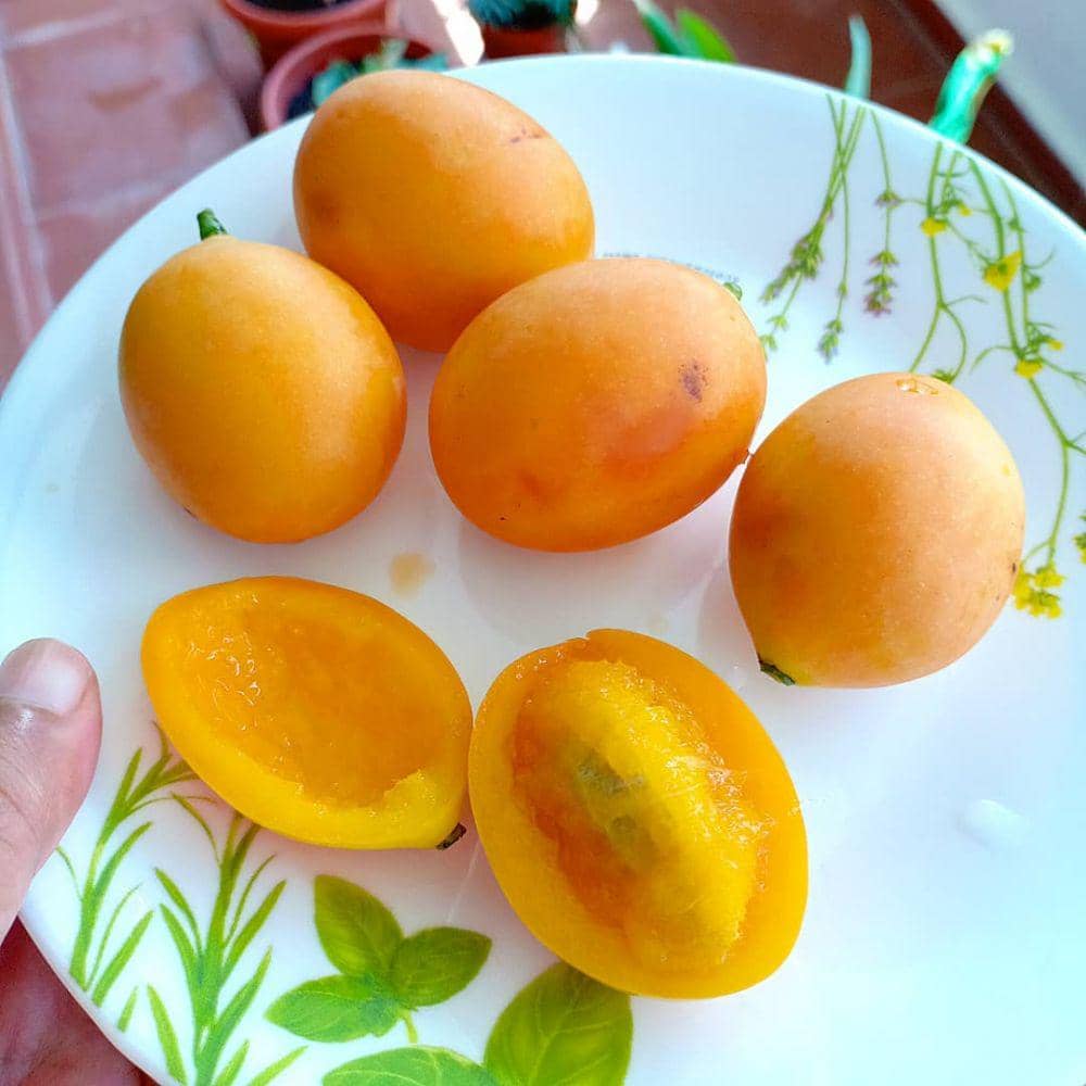 instagram.com/selas_stories