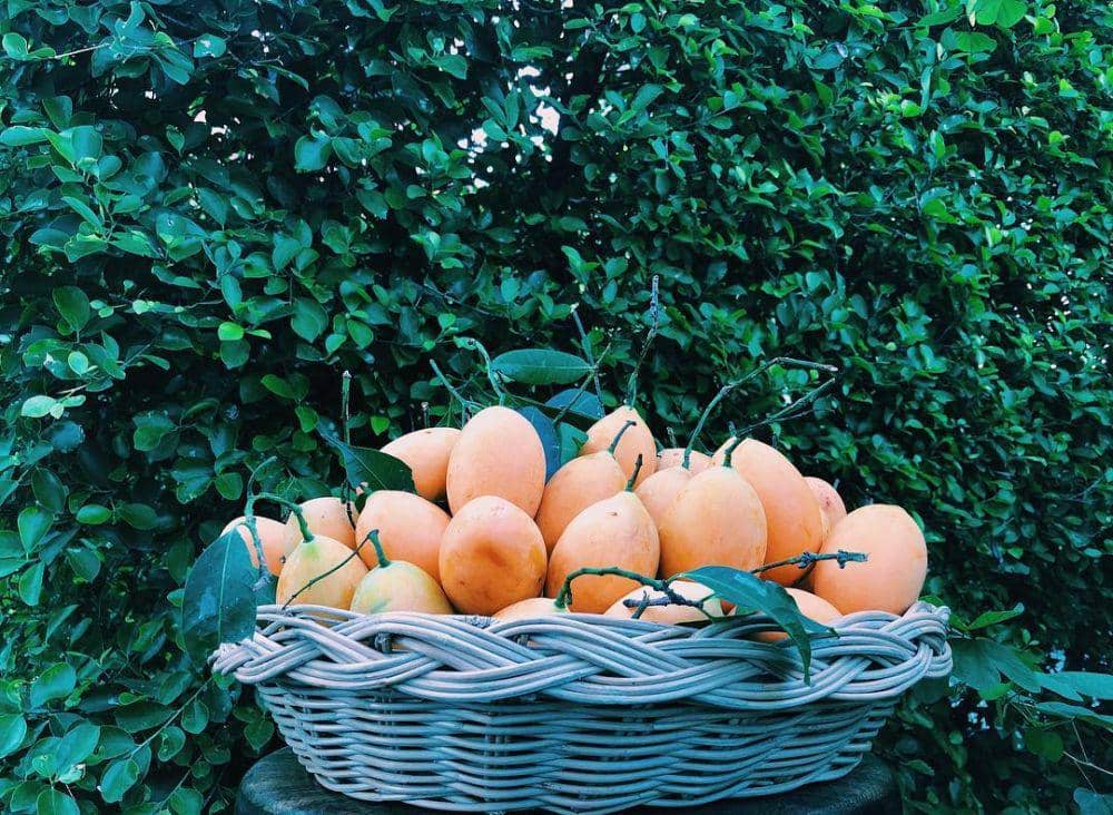 instagram.com/kramon.at