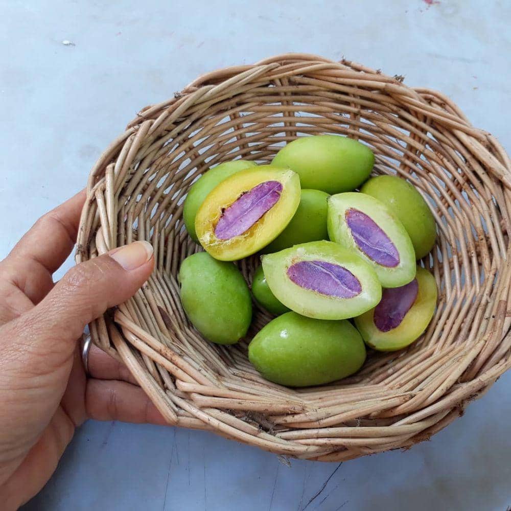 instagram.com/thanyasangpuak