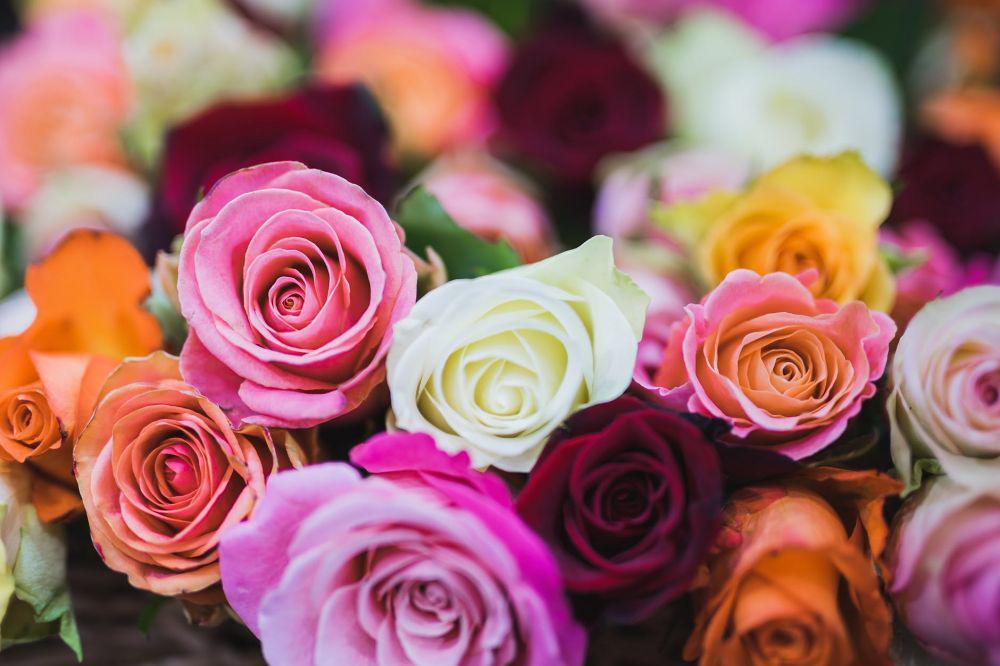 Gak Cuma Cantik, 6 Bunga Ini Bermanfaat Bagi Kesehatan Tubuh