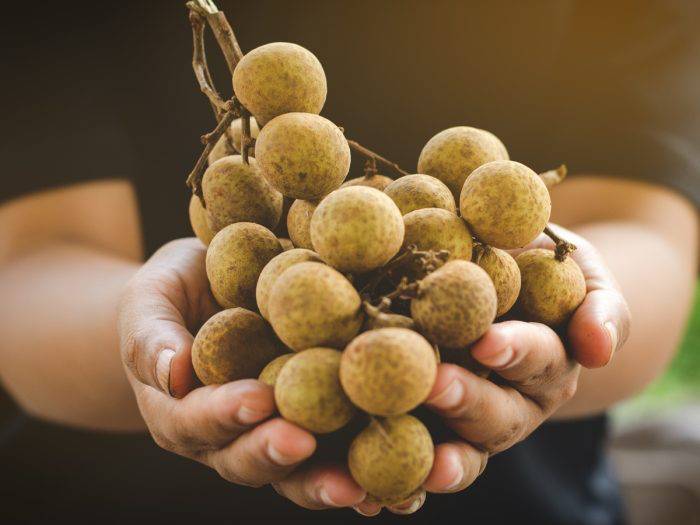 organicfacts.net