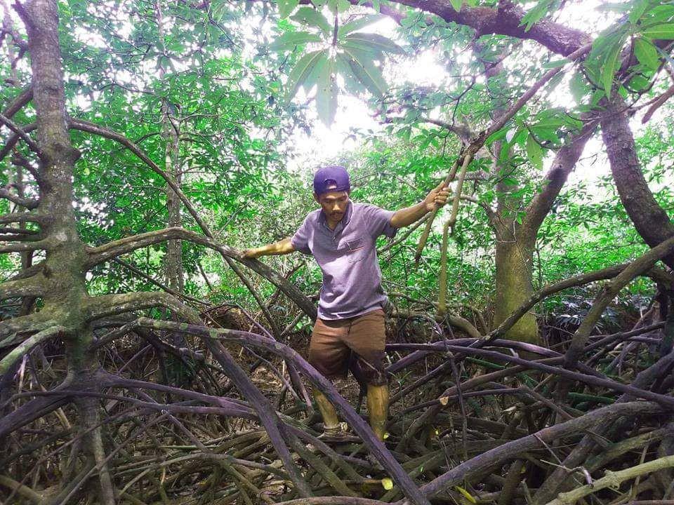 Ikhlas Lestarikan Mangrove, Terima Penghargaan Kalpataru Dari Presiden