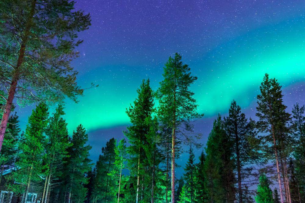 pexels.com/SUOMI PHOTOGRAPHY