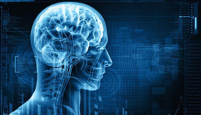 10 Fakta Unik IQ Manusia yang Belum Banyak Orang Ketahui