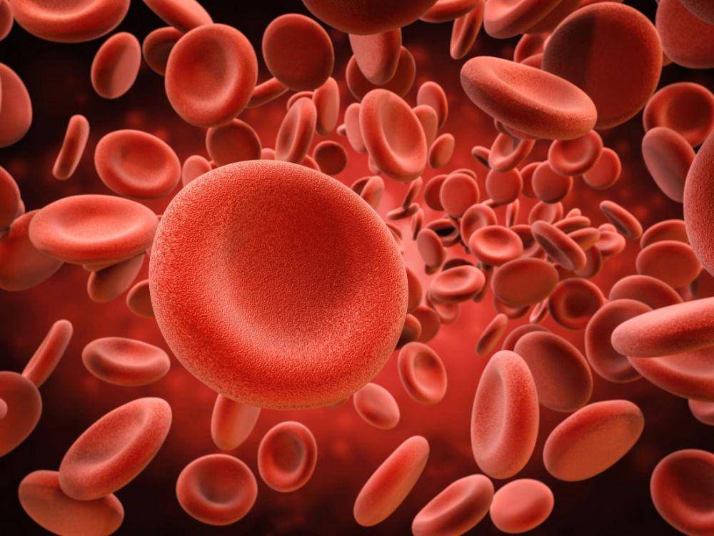 medicalnewstoday.com