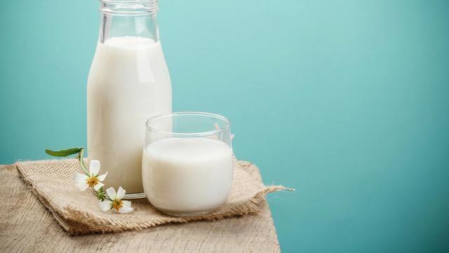 Ini Dia 5 Manfaat Susu Kambing Etawa yang Harus Diketahui