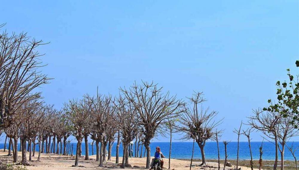5 Tempat Wisata di Probolinggo yang Lagi Hits Dikunjungi