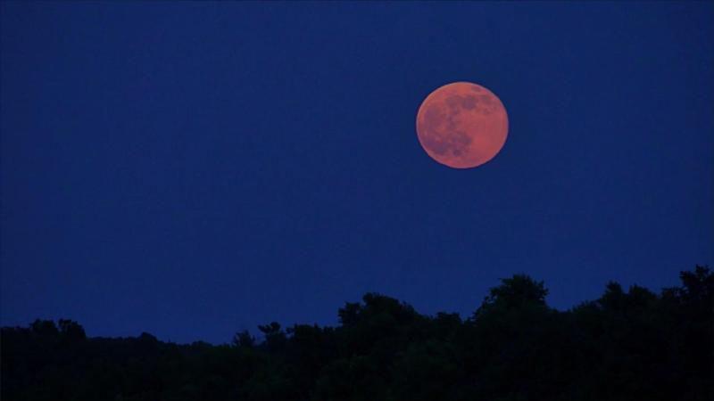 Siap-siap, Fenomena Unik Ini Akan Menghiasi Langit Malam Ini!