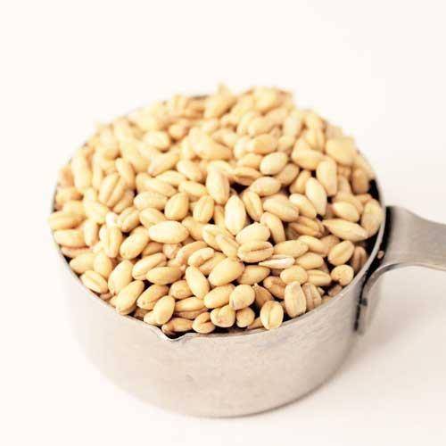 Organicgrains.com