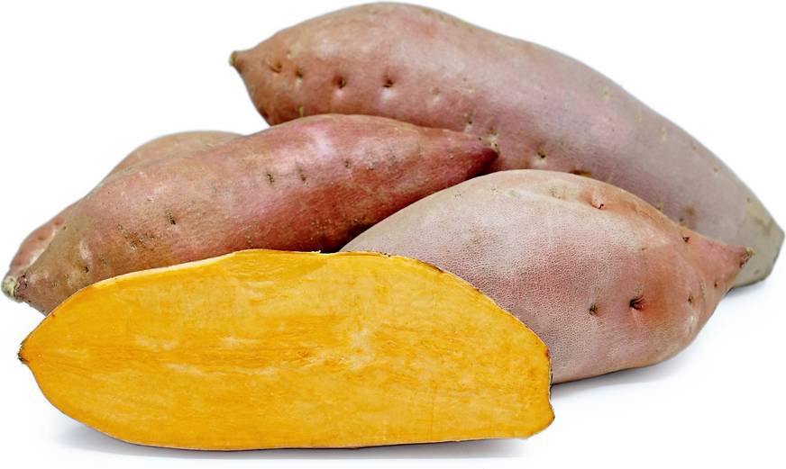 specialtyproduce.com