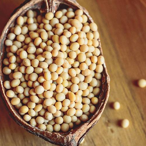 laurasoybeans.com
