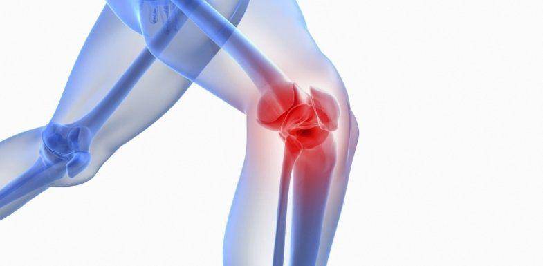 paindoctor.com