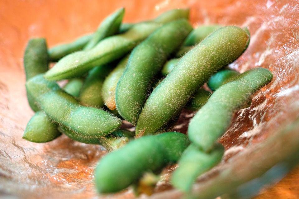 5 Manfaat Edamame untuk Kesehatan!