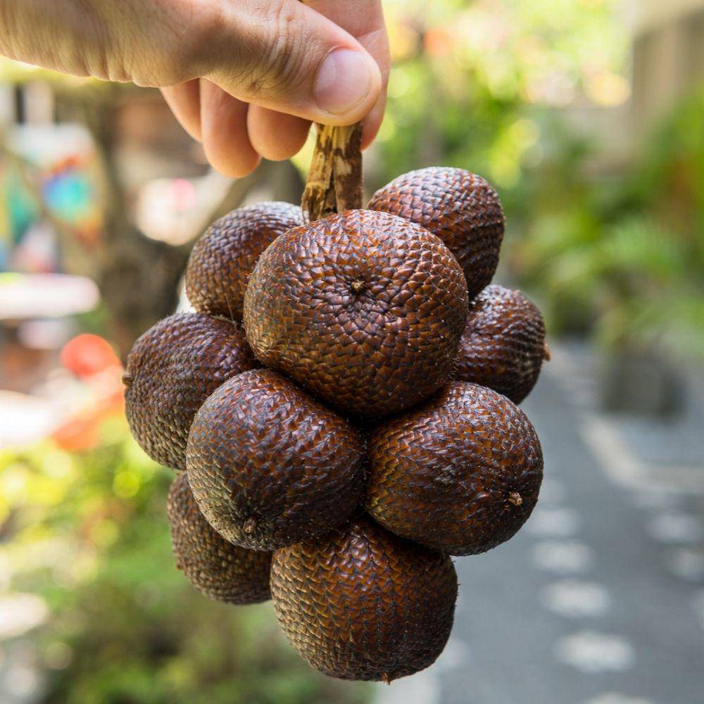 instagram.com/foodandroad_