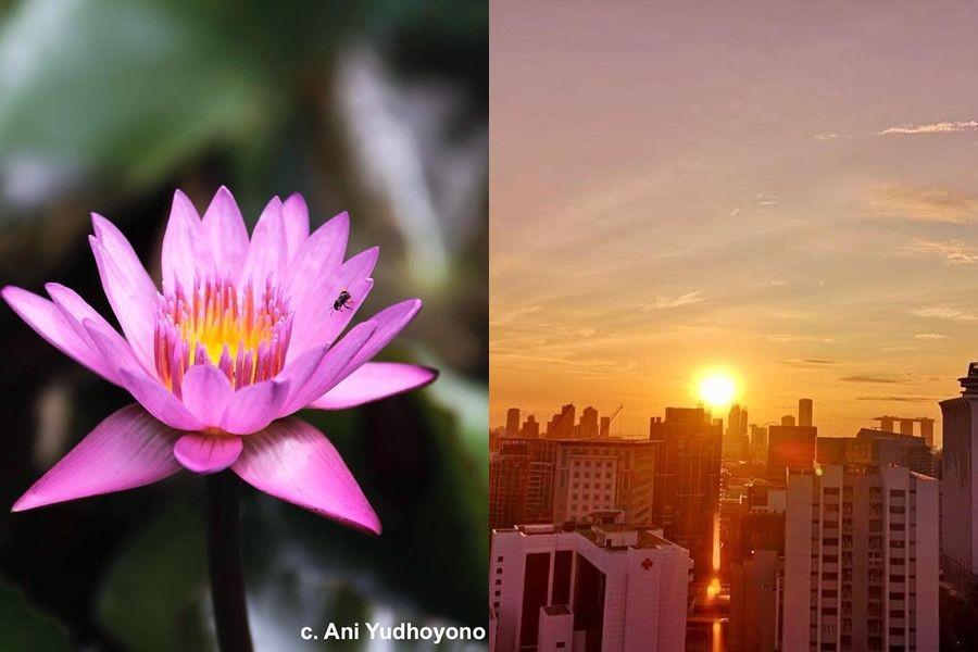 Tips Fotografi ala Ani Yudhoyono yang Bisa Kamu Praktikkan Langsung!