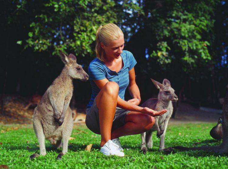 wildlifehabitat.com.au