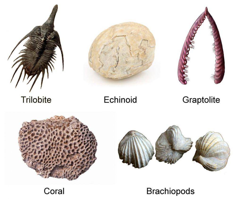 sciencestruck.com