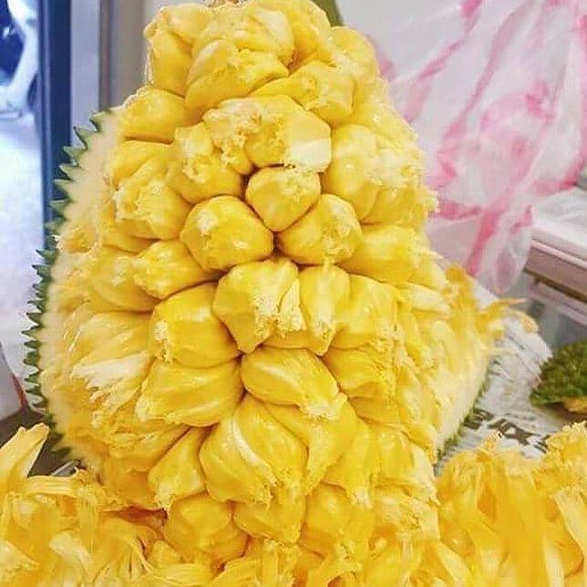 instagram.com/bibit_tabulampot_dan_pupuk