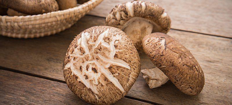 7 Manfaat Jamur Shiitake Bagi Kesehatan Tubuh
