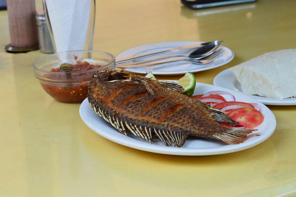 Bisa Mencerdaskan Otak, Ini 5 Manfaat Menyantap Ikan Mujair