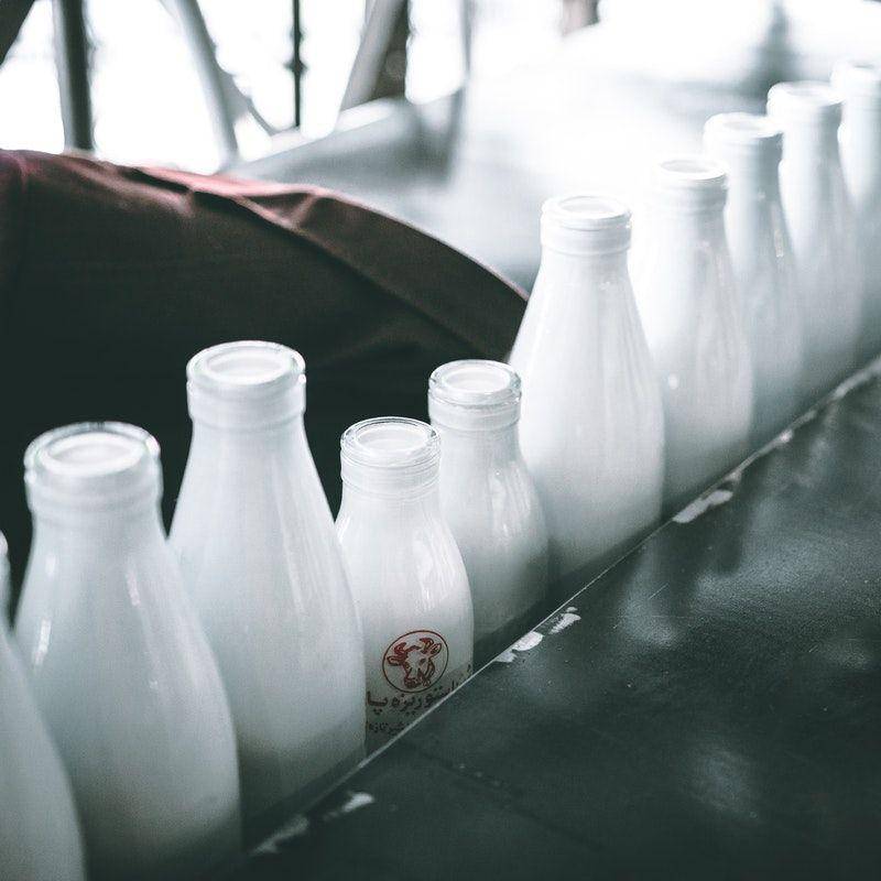 unplash.com/Mehrshad Rajabi