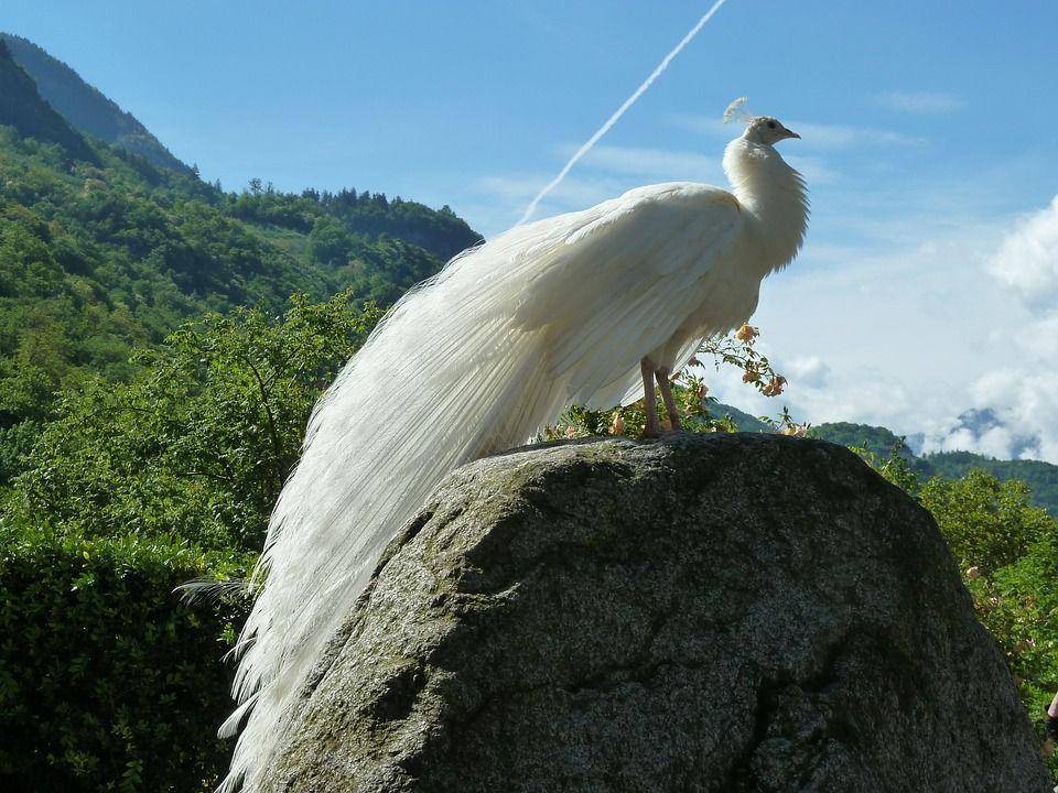 pixabay.com/foto-augenblick